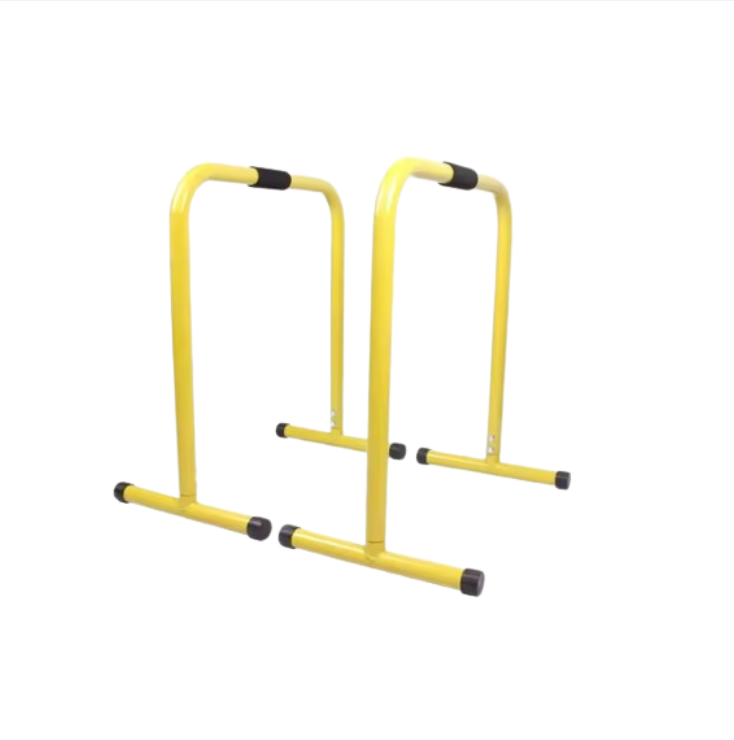 Indoor Fitness Dip Bar