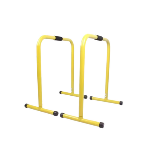 Indoor Fitness Dip Bar